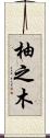 柚之木 Scroll