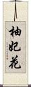 柚妃花 Scroll