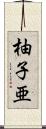 柚子亜 Scroll