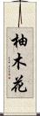 柚木花 Scroll