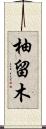 柚留木 Scroll