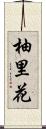 柚里花 Scroll