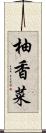 柚香菜 Scroll