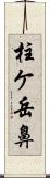 柱ケ岳鼻 Scroll