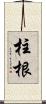 柱根 Scroll