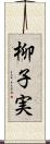柳子実 Scroll