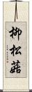 柳松菇 Scroll