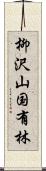 柳沢山国有林 Scroll