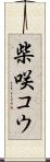 柴咲コウ Scroll