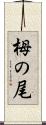 栂の尾 Scroll