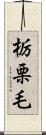 栃栗毛 Scroll