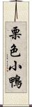 栗色小鴨 Scroll