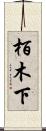 栢木下 Scroll