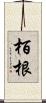 栢根 Scroll