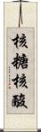 核糖核酸 Scroll
