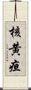 核黄疸 Scroll