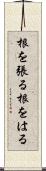 根を張る Scroll