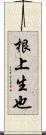 根上生也 Scroll