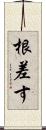 根差す Scroll