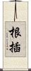 根插 Scroll