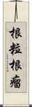 根粒 Scroll