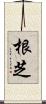 根芝 Scroll