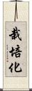 栽培化 Scroll