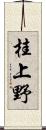 桂上野 Scroll