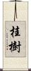 桂樹 Scroll