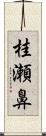 桂瀬鼻 Scroll