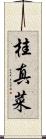 桂真菜 Scroll