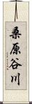 桑原谷川 Scroll