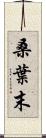 桑葉末 Scroll