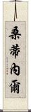 Santinel Scroll