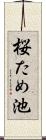 桜ため池 Scroll