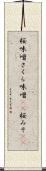 桜味噌 Scroll