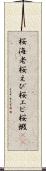 桜海老 Scroll