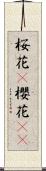 桜花(P);櫻花(sK) Scroll