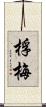 桴梅 Scroll