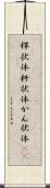 桿状体 Scroll