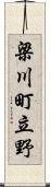 梁川町立野 Scroll