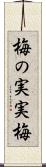 梅の実 Scroll