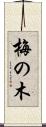 梅の木 Scroll