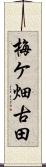 梅ケ畑古田 Scroll