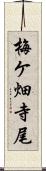 梅ケ畑寺尾 Scroll
