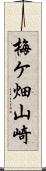 梅ケ畑山崎 Scroll