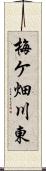 梅ケ畑川東 Scroll