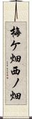 梅ケ畑西ノ畑 Scroll
