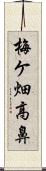 梅ケ畑高鼻 Scroll