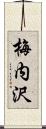 梅内沢 Scroll